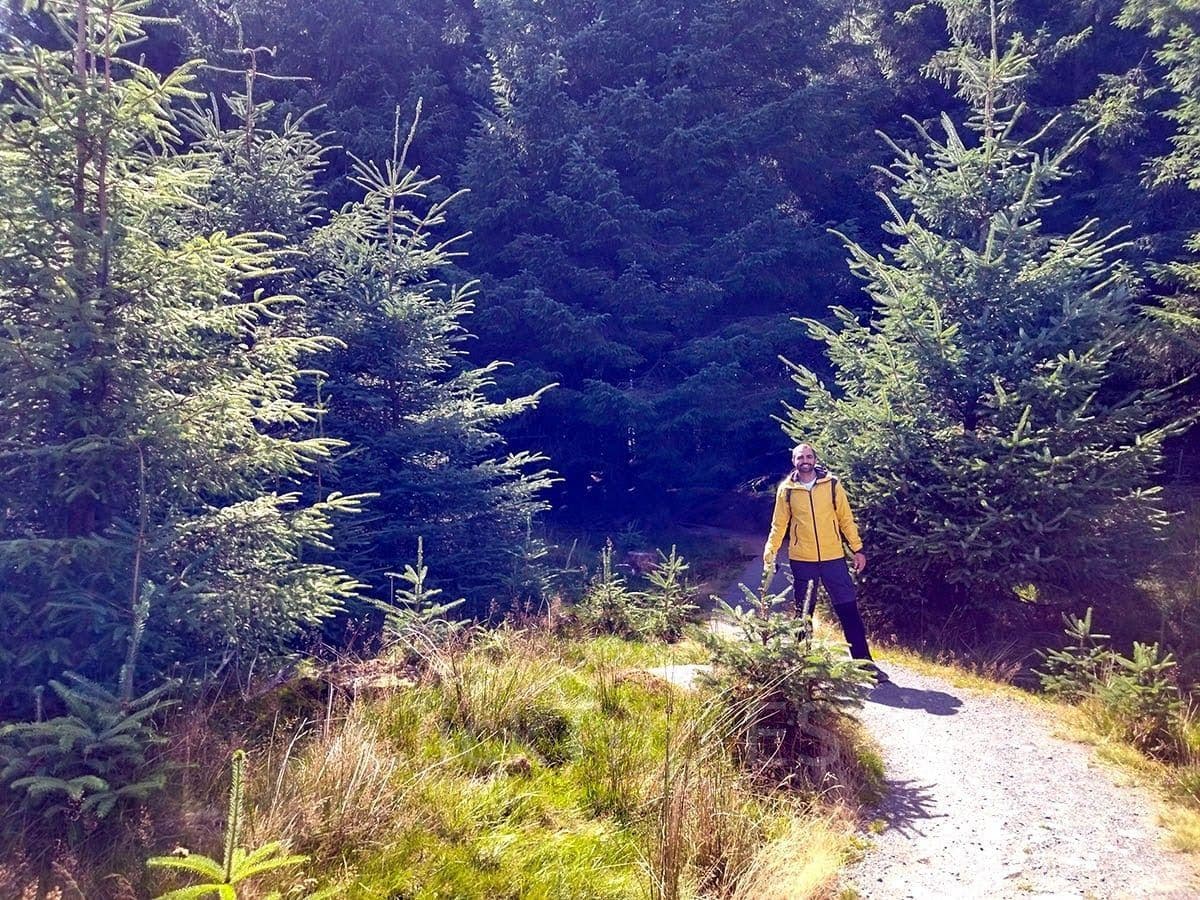 Ballinastoe Woods Wicklow Irlanda Bosque Mágico ClickTrip Ruta y desvío