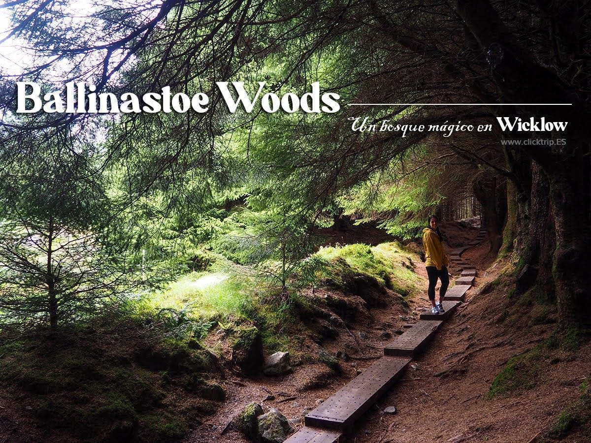 Ballinastoe Woods Wicklow Irlanda Bosque Magico ClickTrip