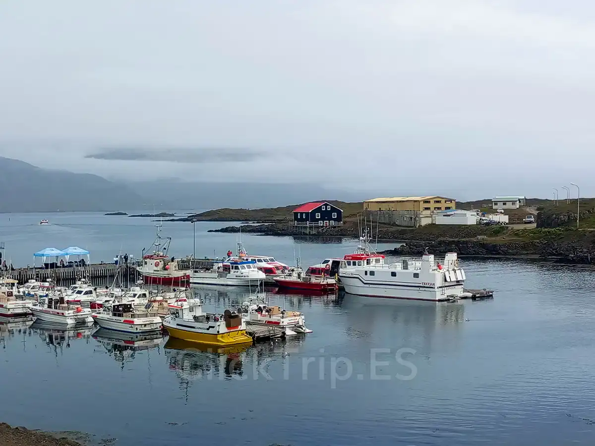 Ruta circular de 10 días por Islandia con niños_Djúpivogur_ClickTrip Qué ver en Islandia en 10 días con niños: ruta en coche completa_Djúpivogur_ClickTrip