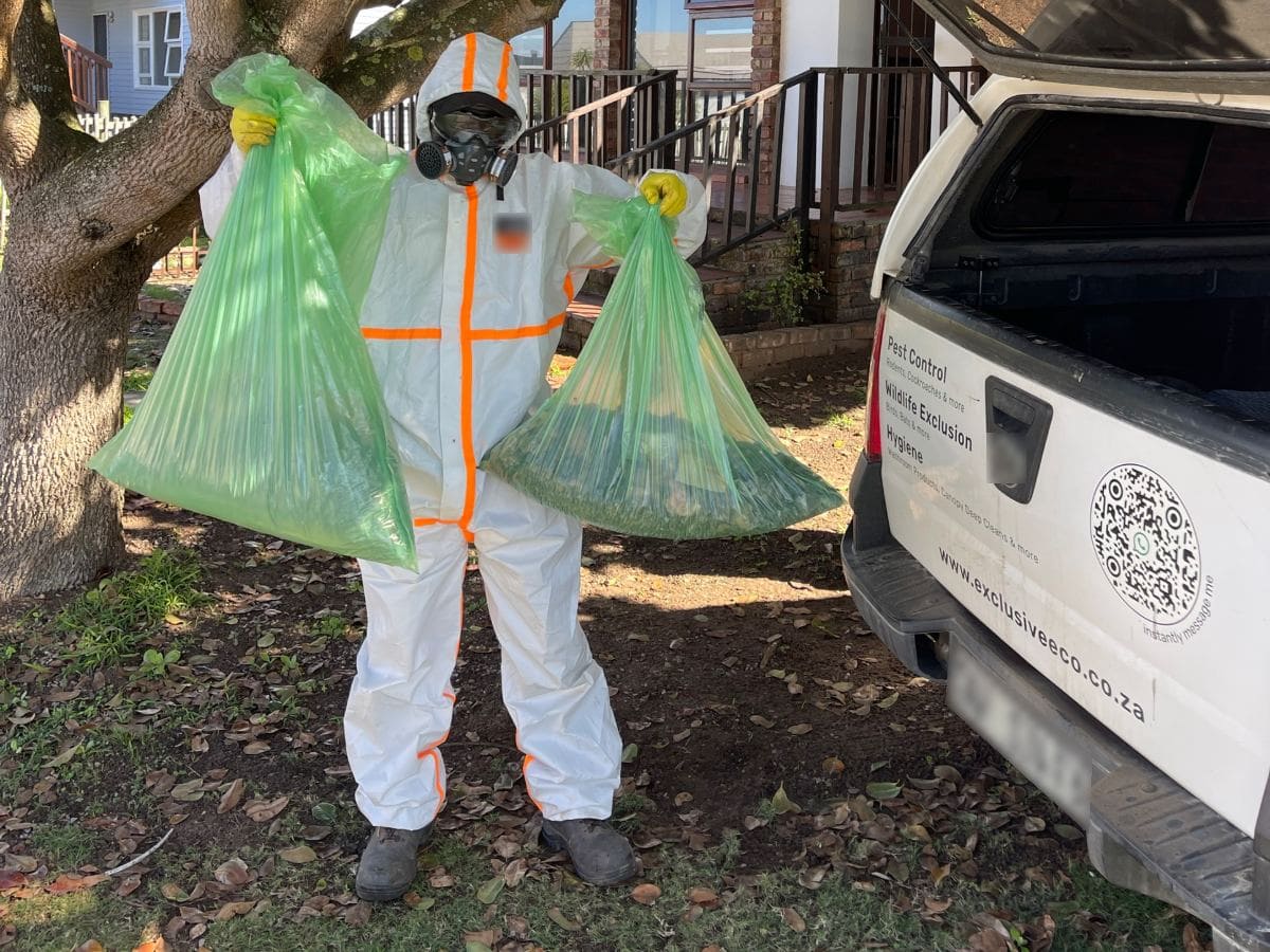 A technician in a protective suit and respirator holding two bags of genet droppings removed from a ceiling, next to an Exclusive Eco bakkie
