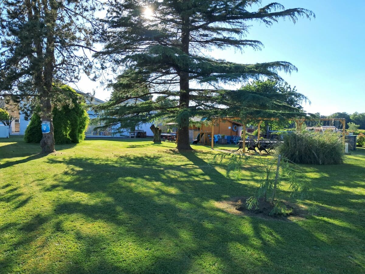 Jardin ensoleillé avec grands arbres, pelouse verte et mobilier de terrasse sous une pergola en bois