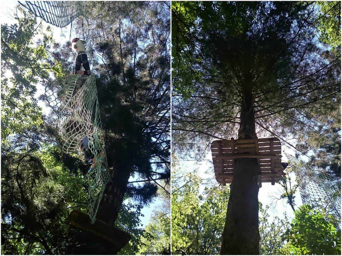 Trees Adventure Park Belgrave - Tree Surfing at Glen Harrow Park