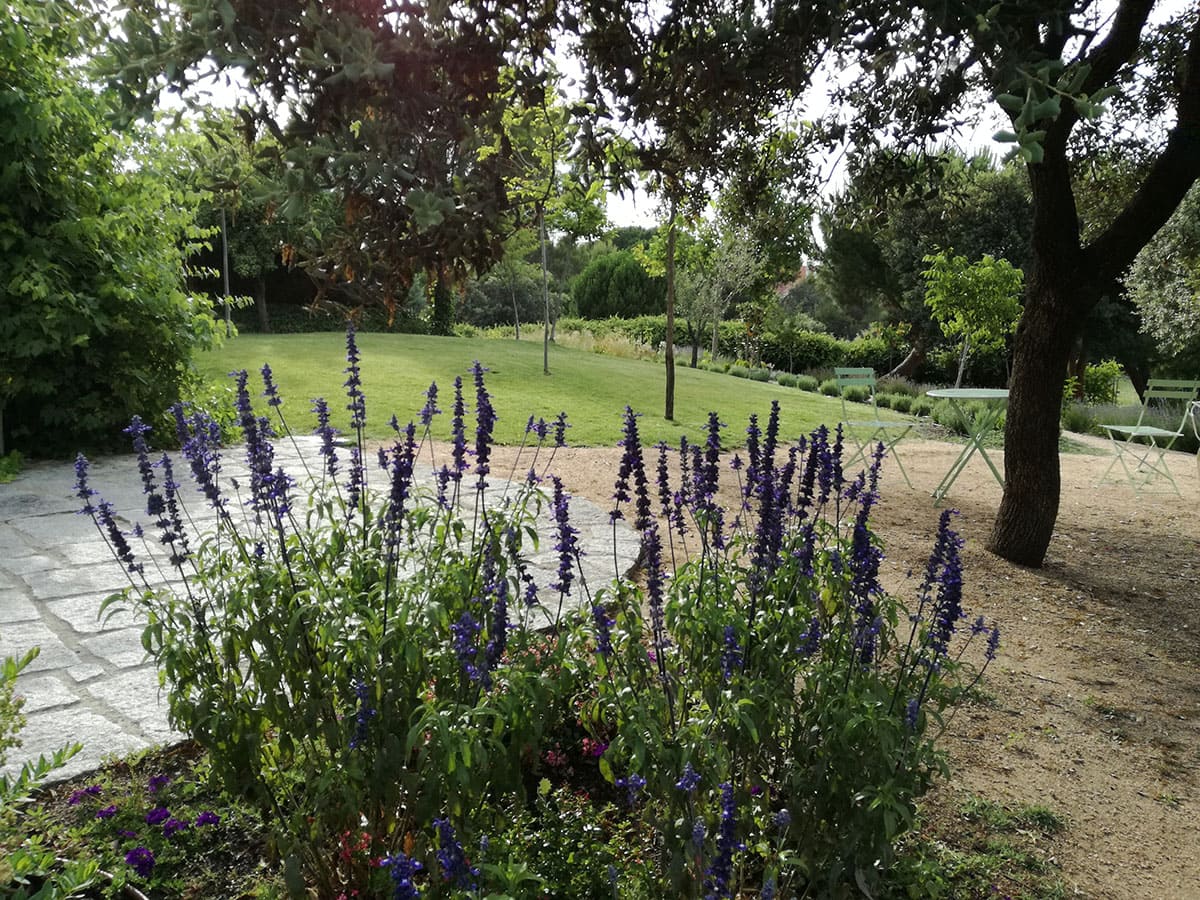 Paraiso de las flores