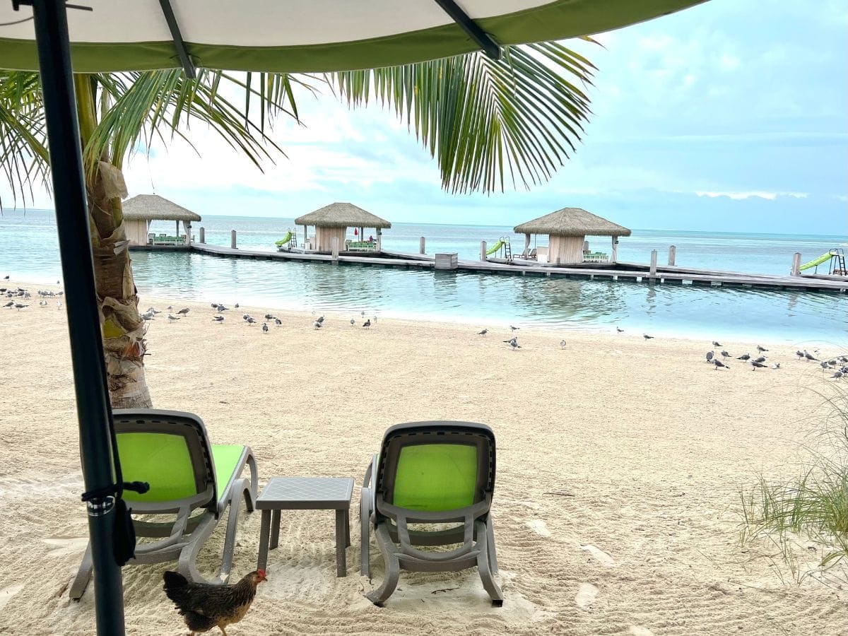 view of overwater cabanas from land