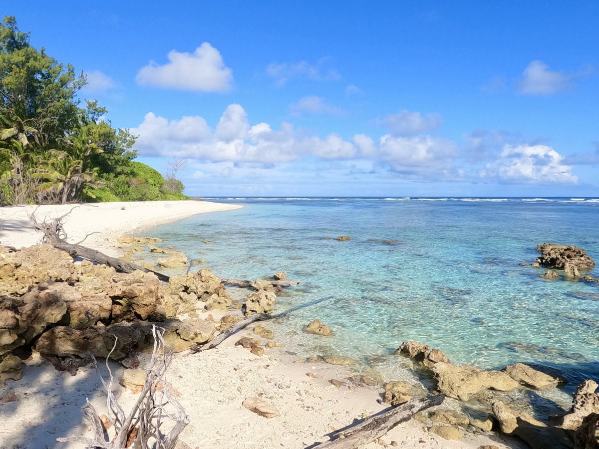 denis_private_island_south_point Tropical beach in Denis Private Island with rocks on the shore and palms in the background