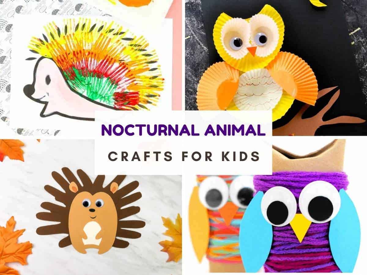 Nocturnal animal crafts Nocturnal animal crafts