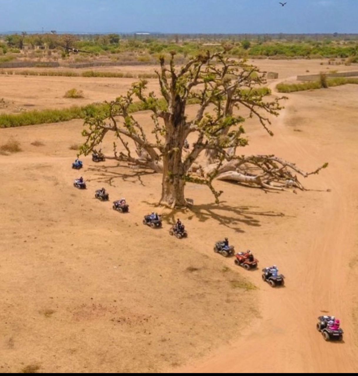 Balade en quad et buggy au milieu des baobabs, Petite Côte, Sénégal