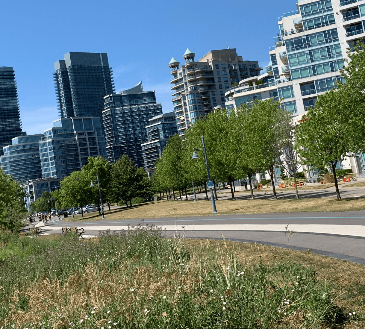 Toronto Waterfront Marathon cancelled, going virtual
