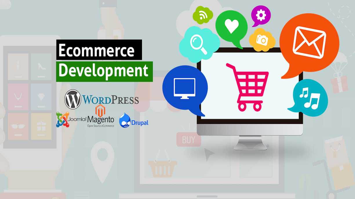 Custom Web Development and Ecommerce Services