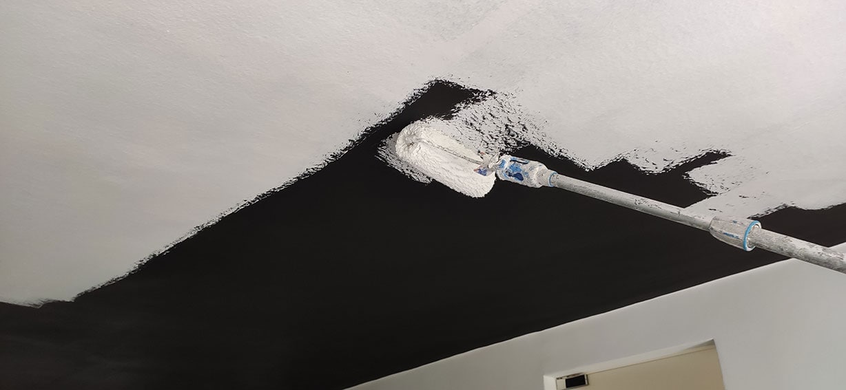 Aplicació de pintura apantallant i acabat amb pintura de silicat, Ecomatèries