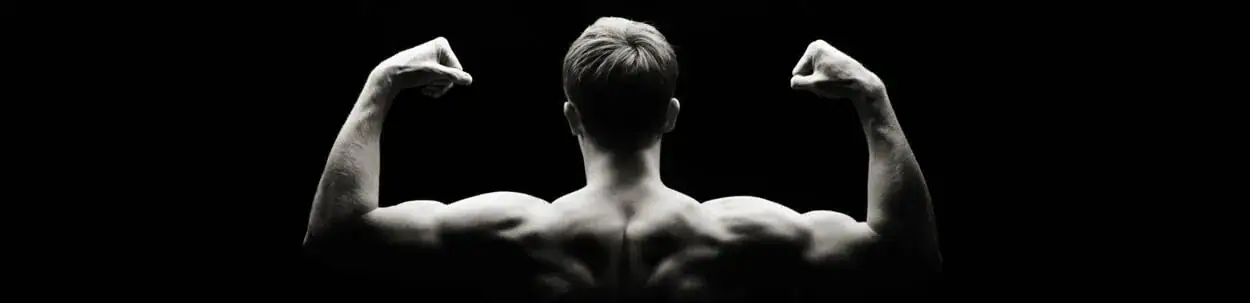 back and shoulder muscles