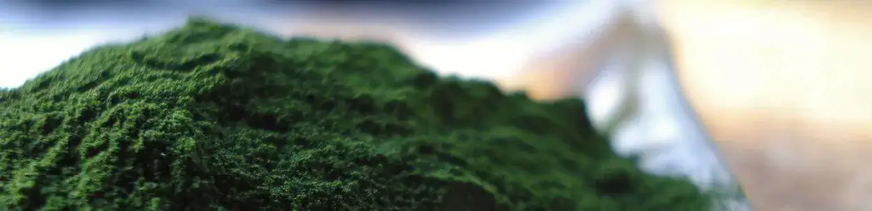 green super food powder