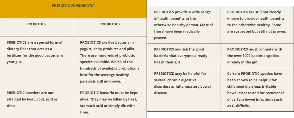 gut flora