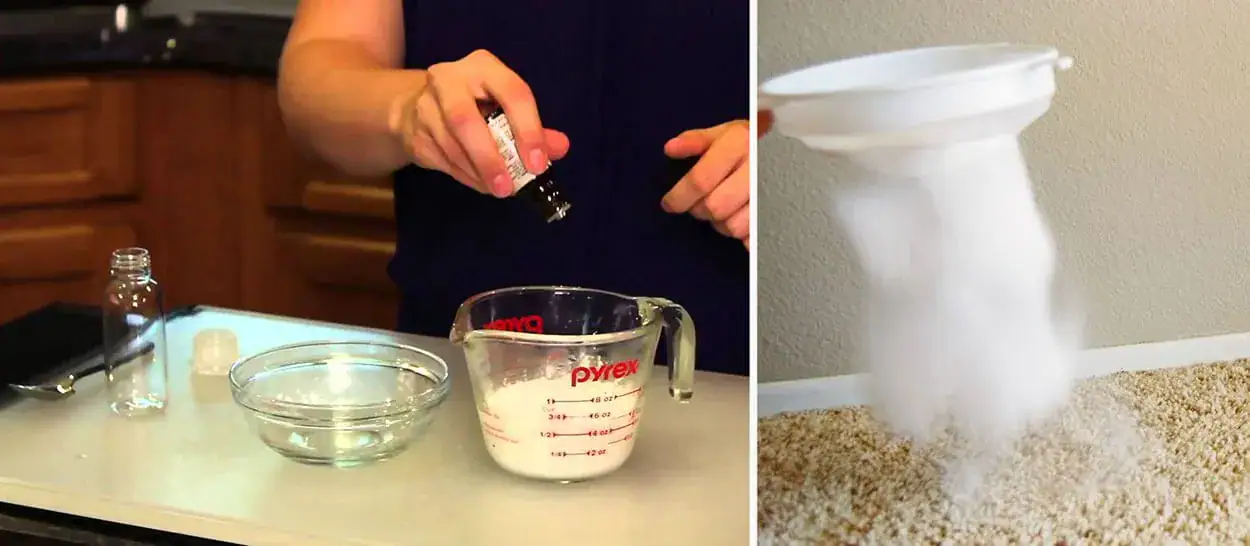 4 brilliant ways to use Tea Tree essential oil