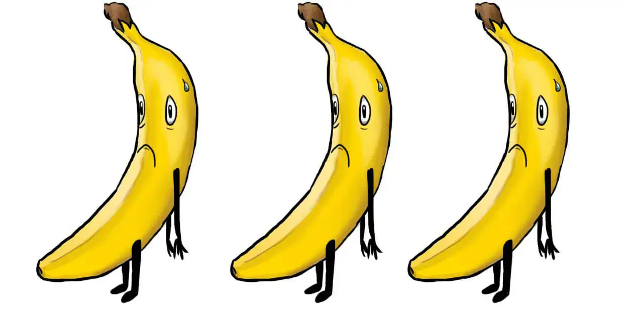 avocados