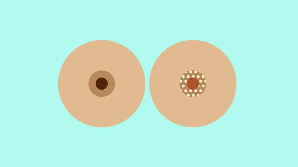 pregnancy