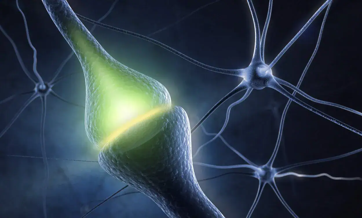 What is Kinesiology?