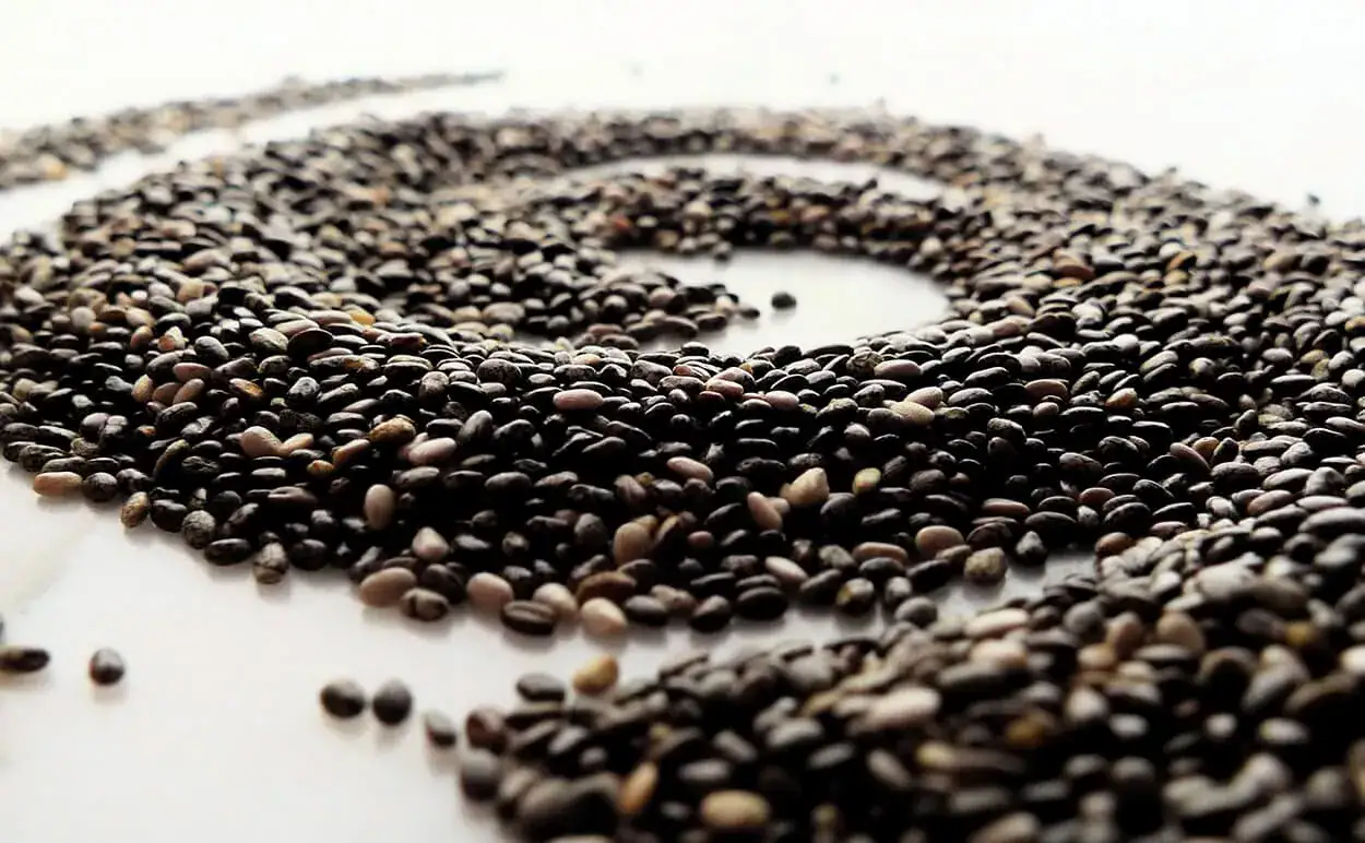 black chia seeds