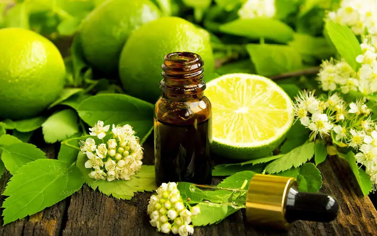 Presenting our IFA certified Aromatherapy courses