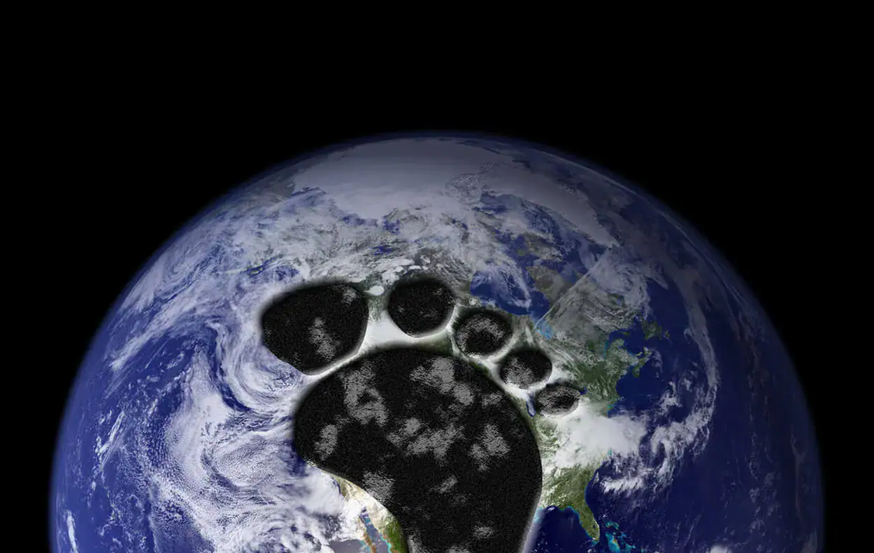carbon footprint