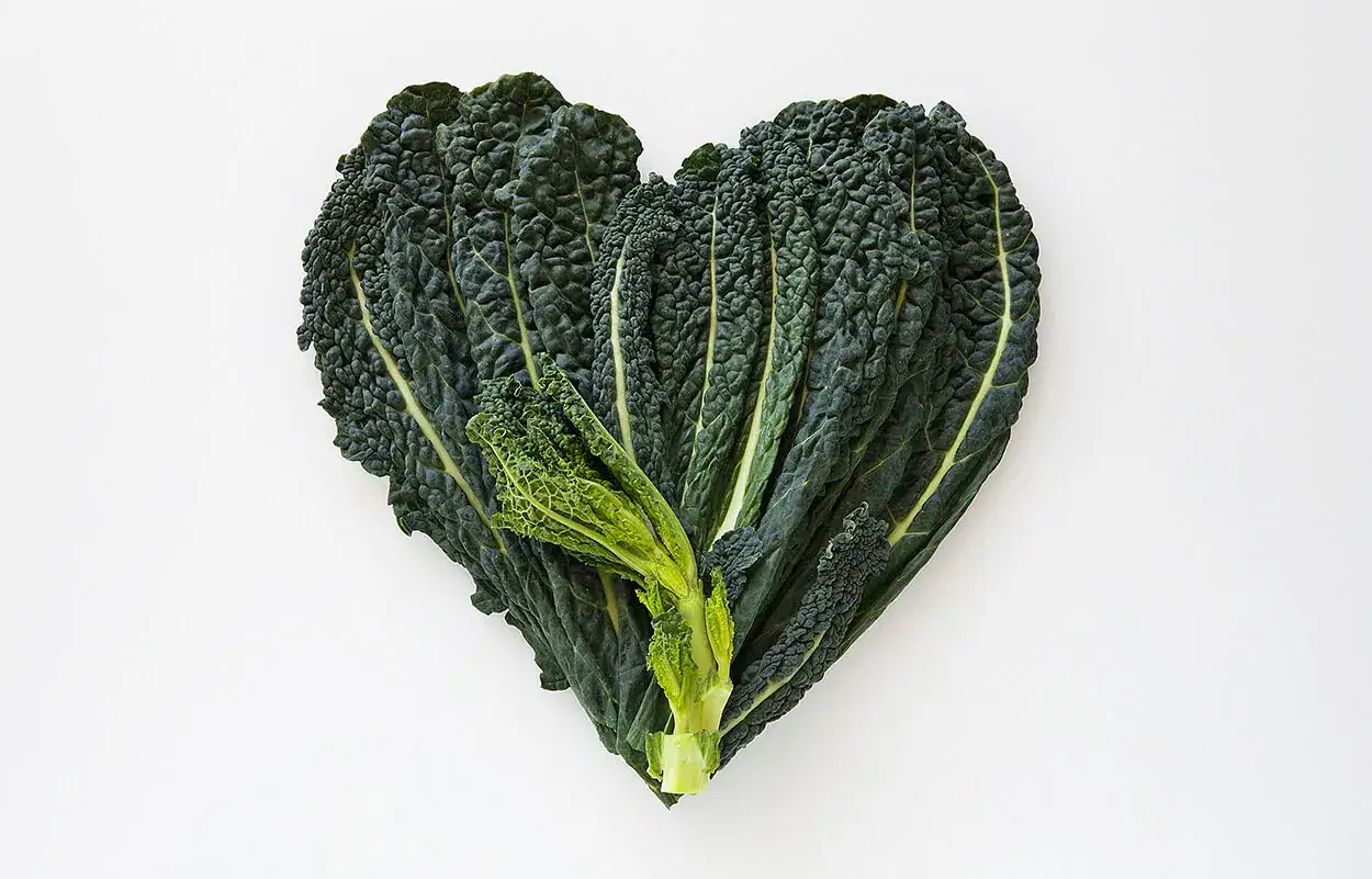 All hail King Kale! 5 must-try recipes