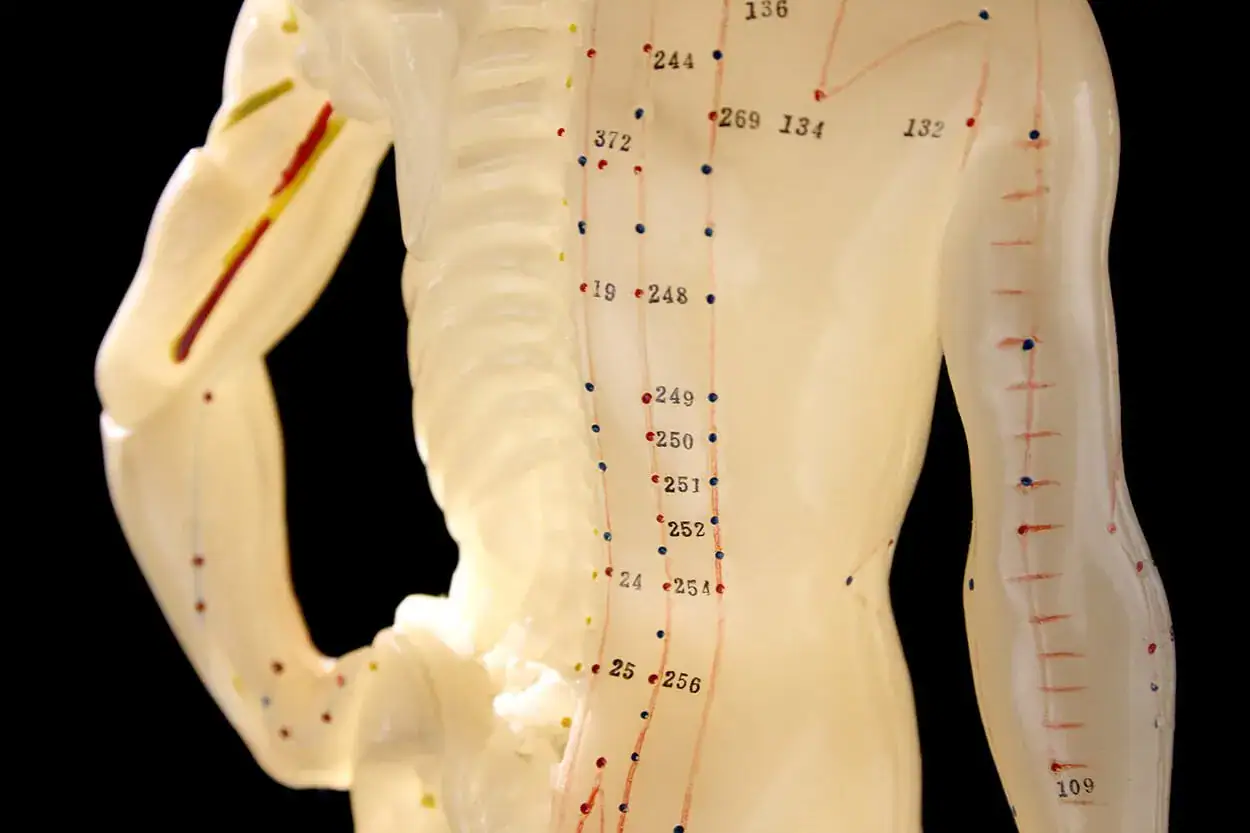 All about acupressure and acupuncture