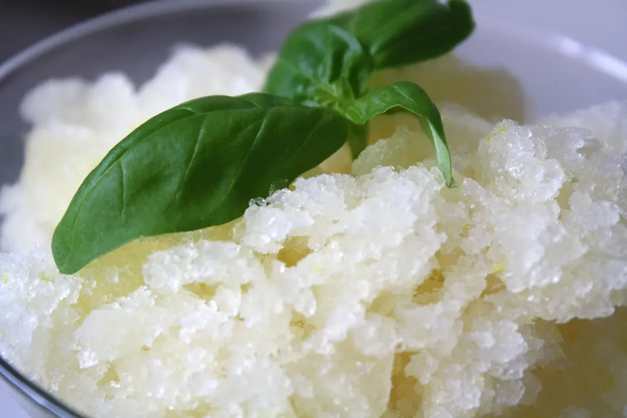 Best fresh basil recipes