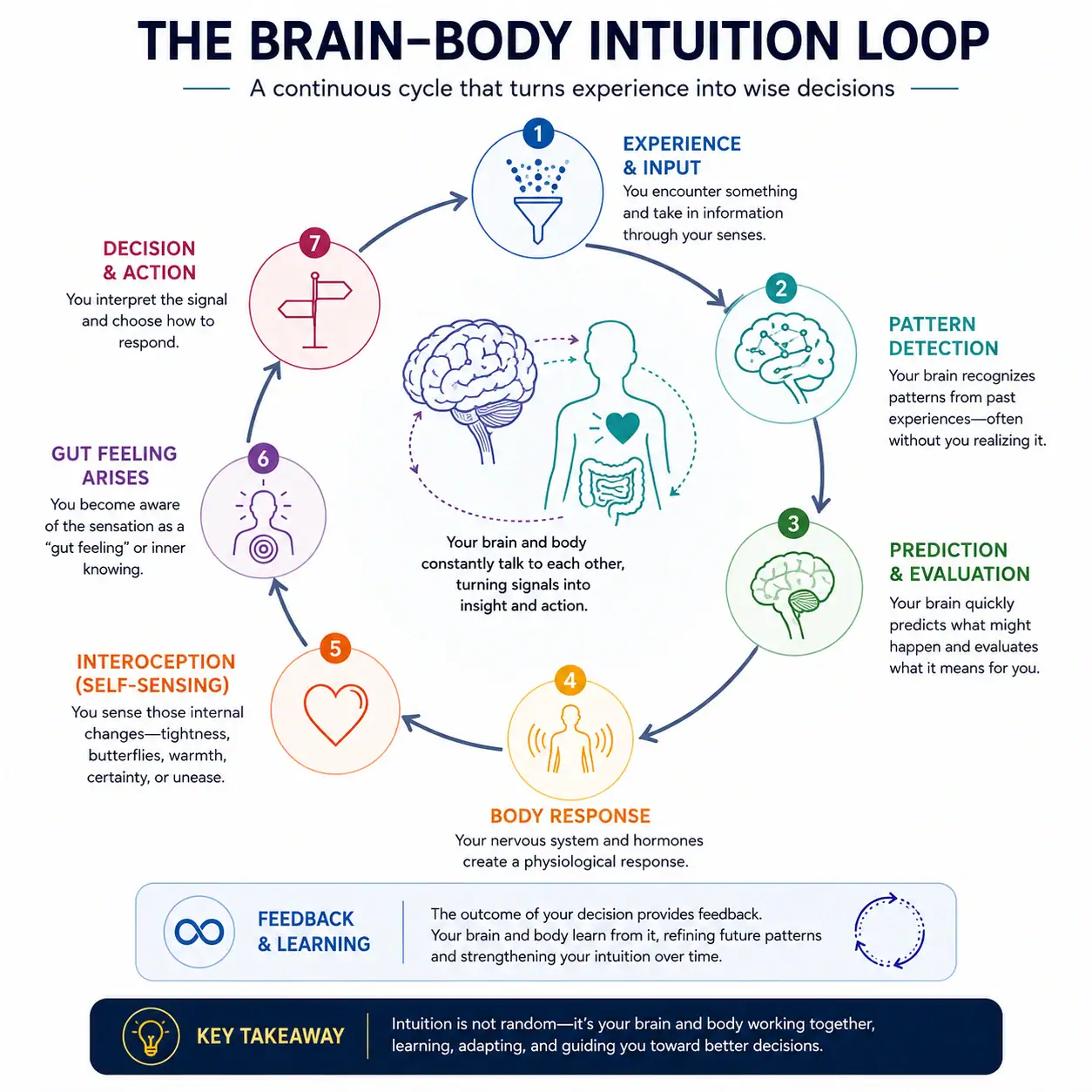 Brain-body intuition loop from experience and pattern detection to body response, gut feeling, decision and learning