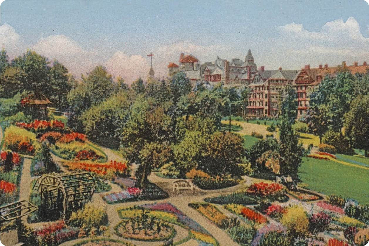 Illustration of Our Manicured Gardens