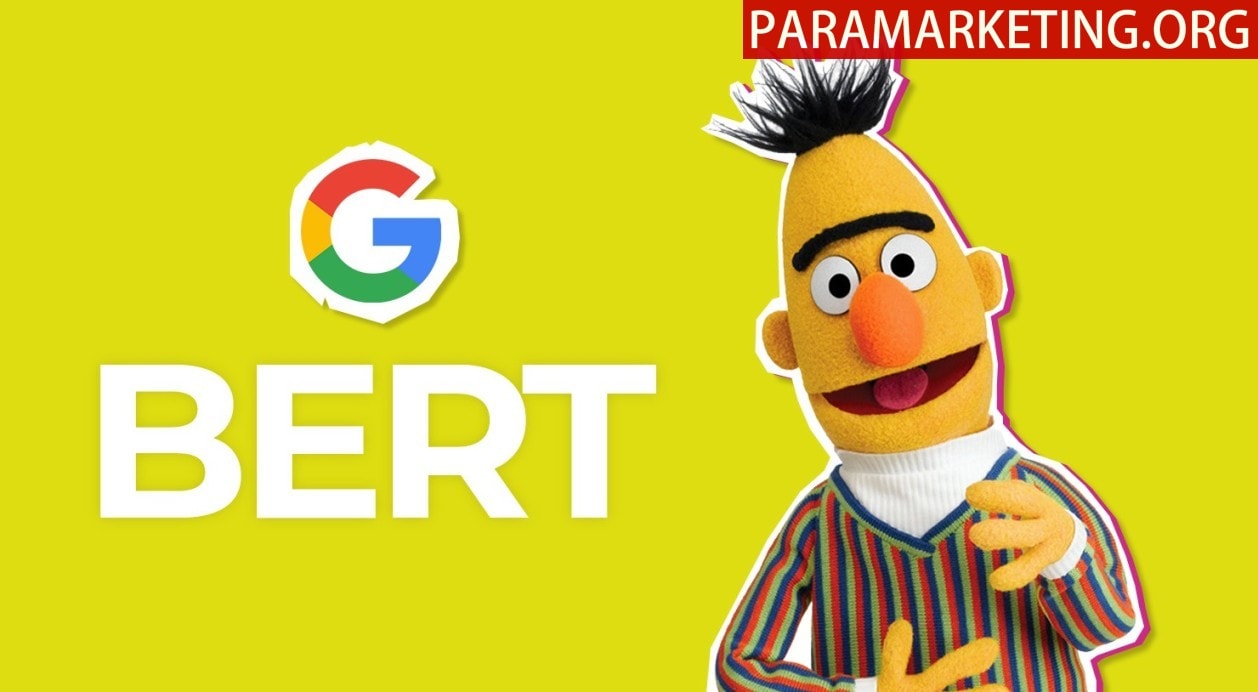 BERT-ALGORITHM-UPDATE-3