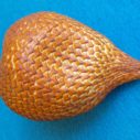 salak ovoce