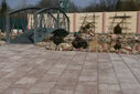 cs beton