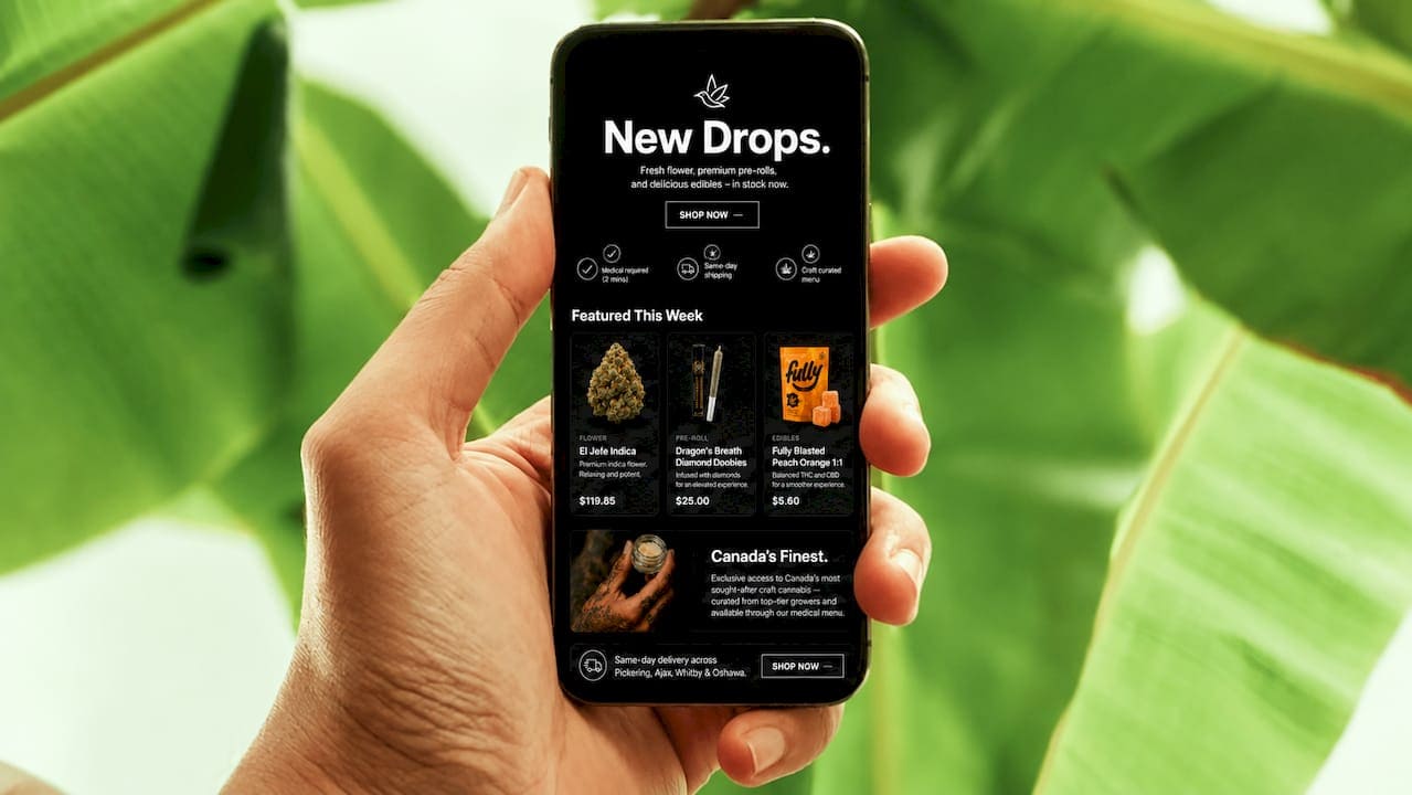 Customer browsing digital cannabis menu in store