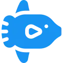 Marine Wildlife - Sunfish, Sharks and Others