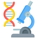 Lab