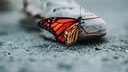 Blog: Die bittere Wahrheit über Perfektion