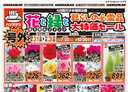 花と緑と暮らしの必需品 大特価セール
