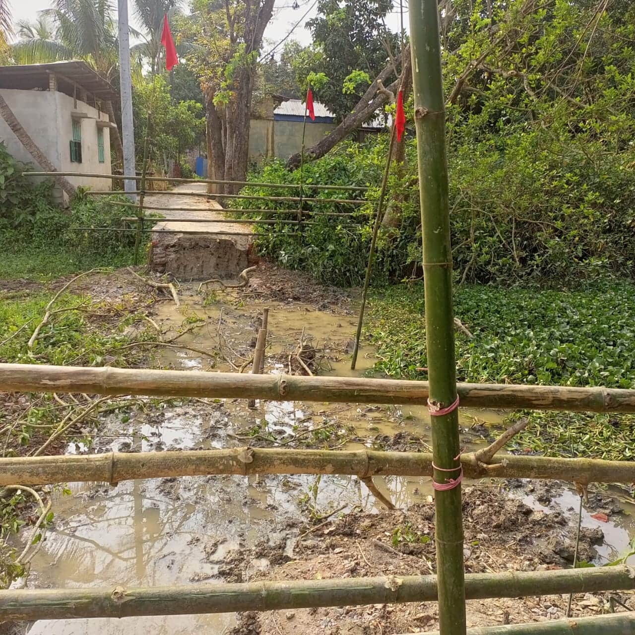 ফেনীর ফাজিলপুরের শিবপুর গ্রামে জবর- দখলকৃত সম্পত্তি দীর্ঘদিন পর আদালতের নির্দেশে উদ্ধার