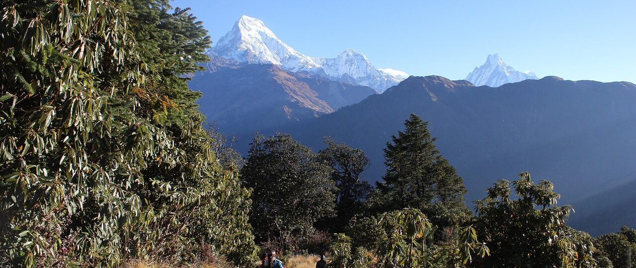 Hiker standing on a trail with the snow-capped Himalayas in the background during Ghorepani Poon Hill Trek