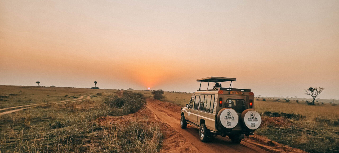 Best Tanzania Safari Experience