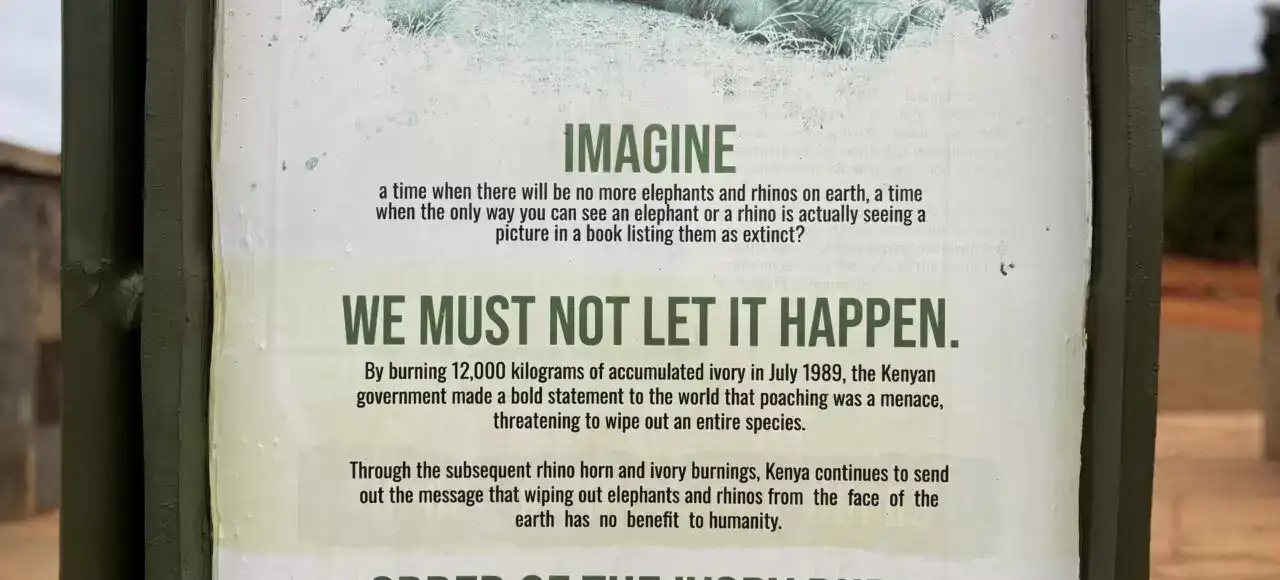 Warning sign against elephant poaching in Kenya promoting wildlife protection and sustainable tourism
