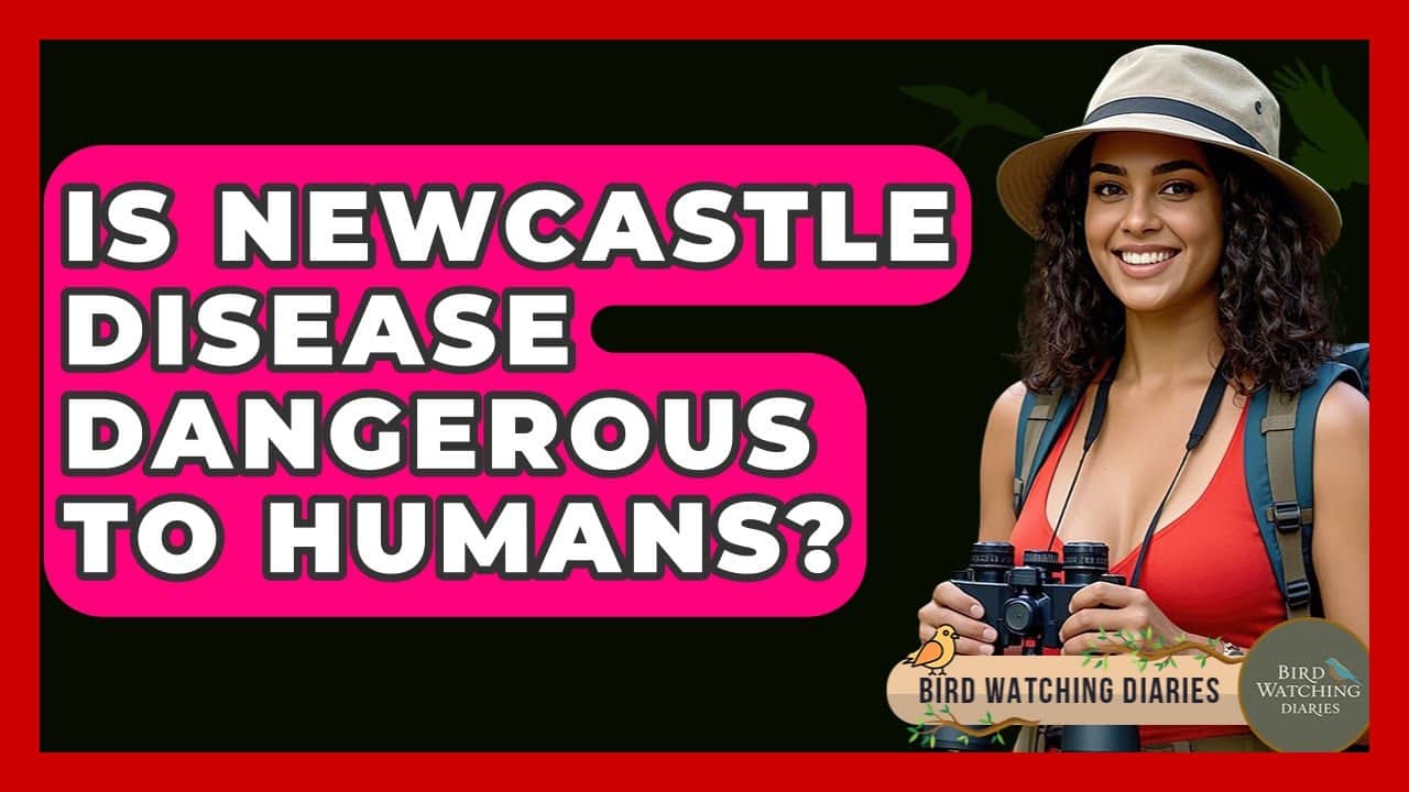 Can Humans Get Newcastle Disease