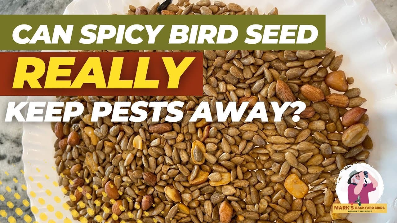 How to Make Hot Bird Seed