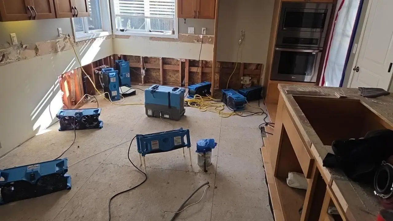 carpet-cleaning-wa.webp