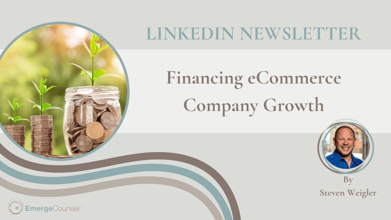 Financing eCommerce Company Growth