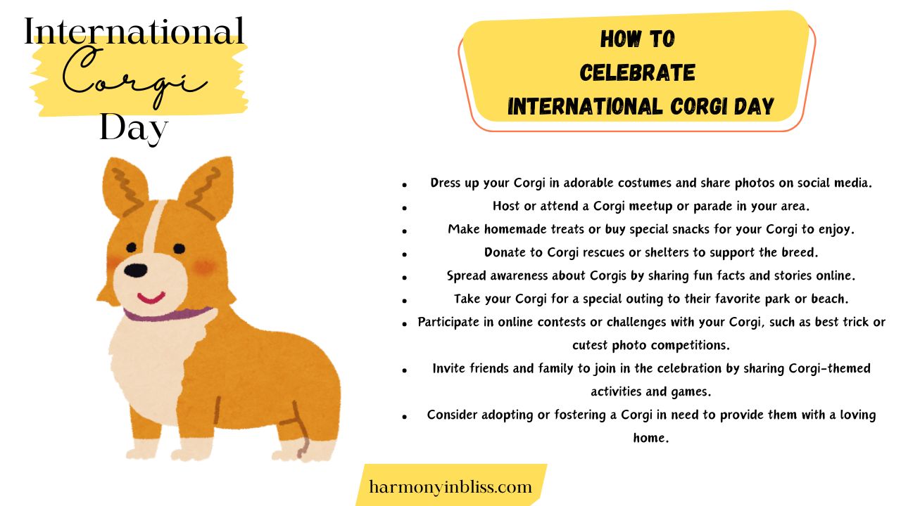 How To Celebrate International Corgi Day