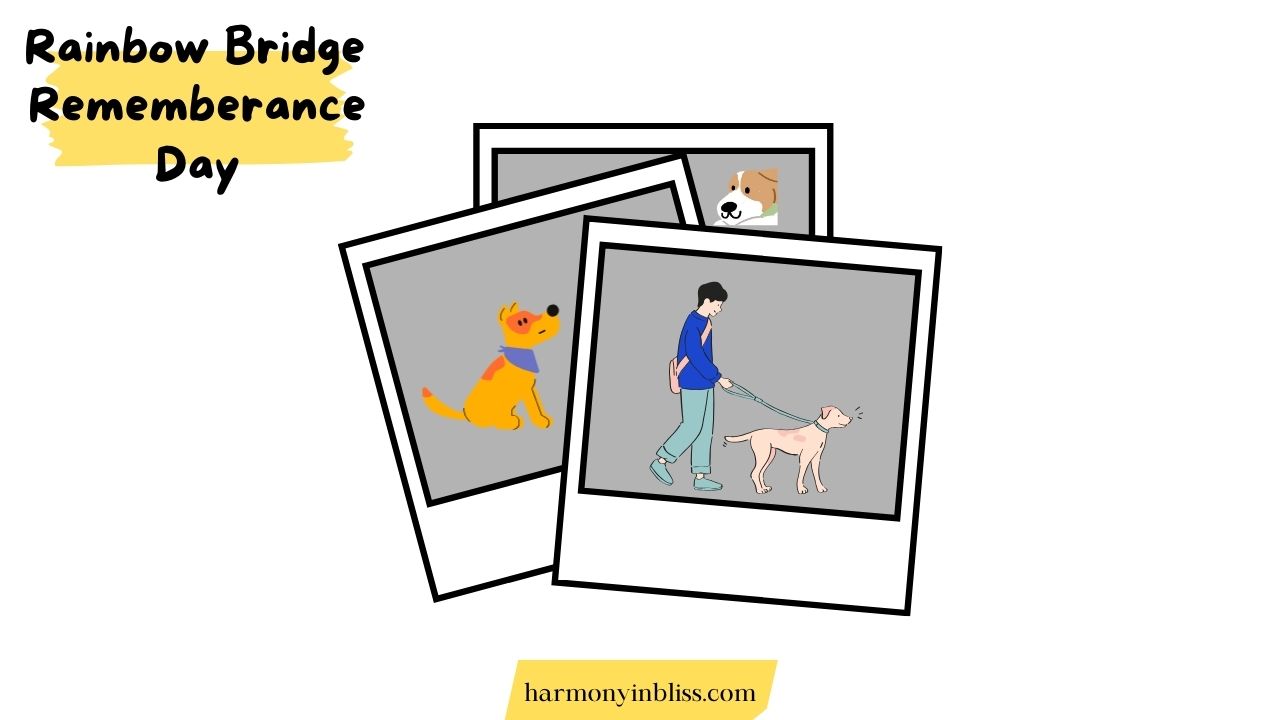 rainbow bridge remembrance day