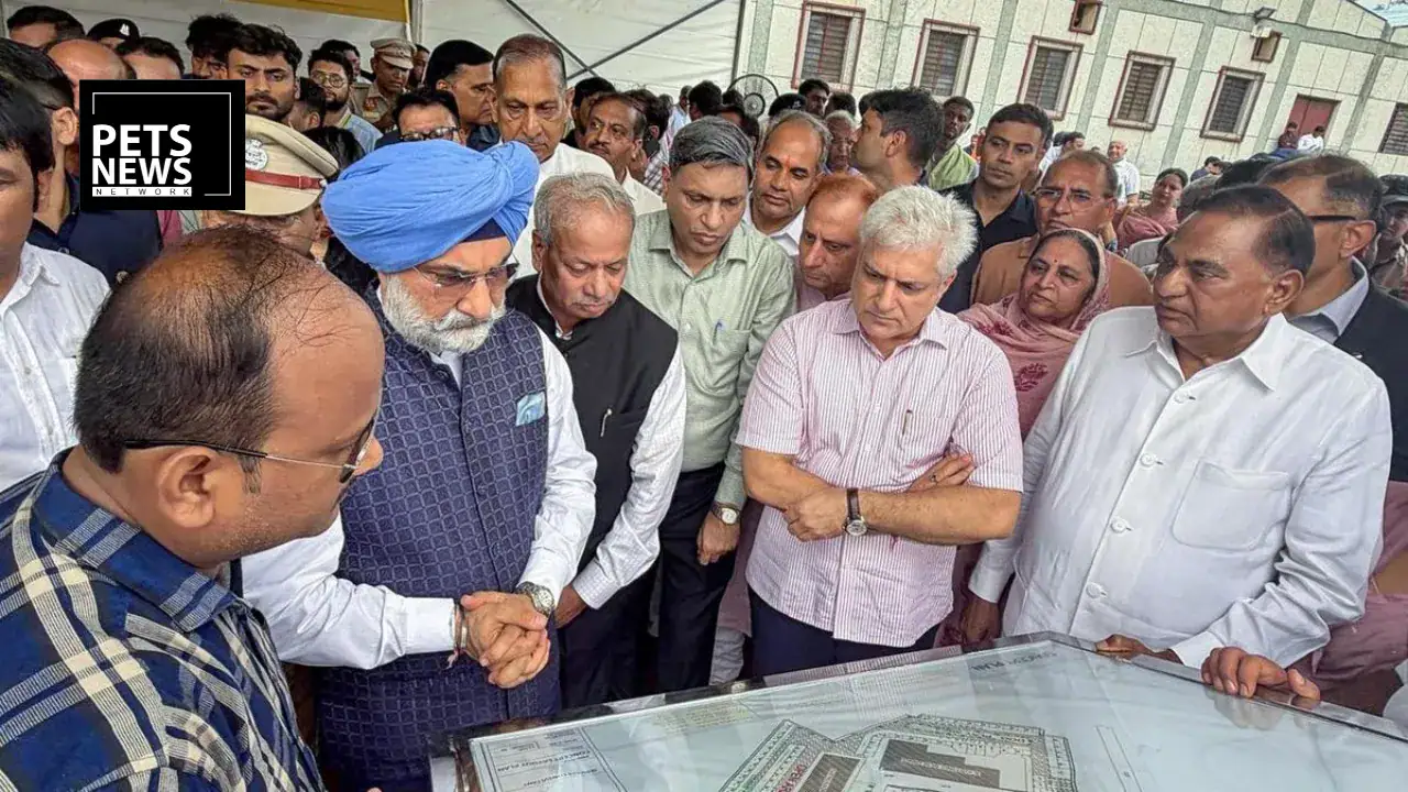 Delhi Gets Its First Dedicated Dog Shelter as L-G Lays Foundation Stone for 1,500-Capacity Facility in Dwarka