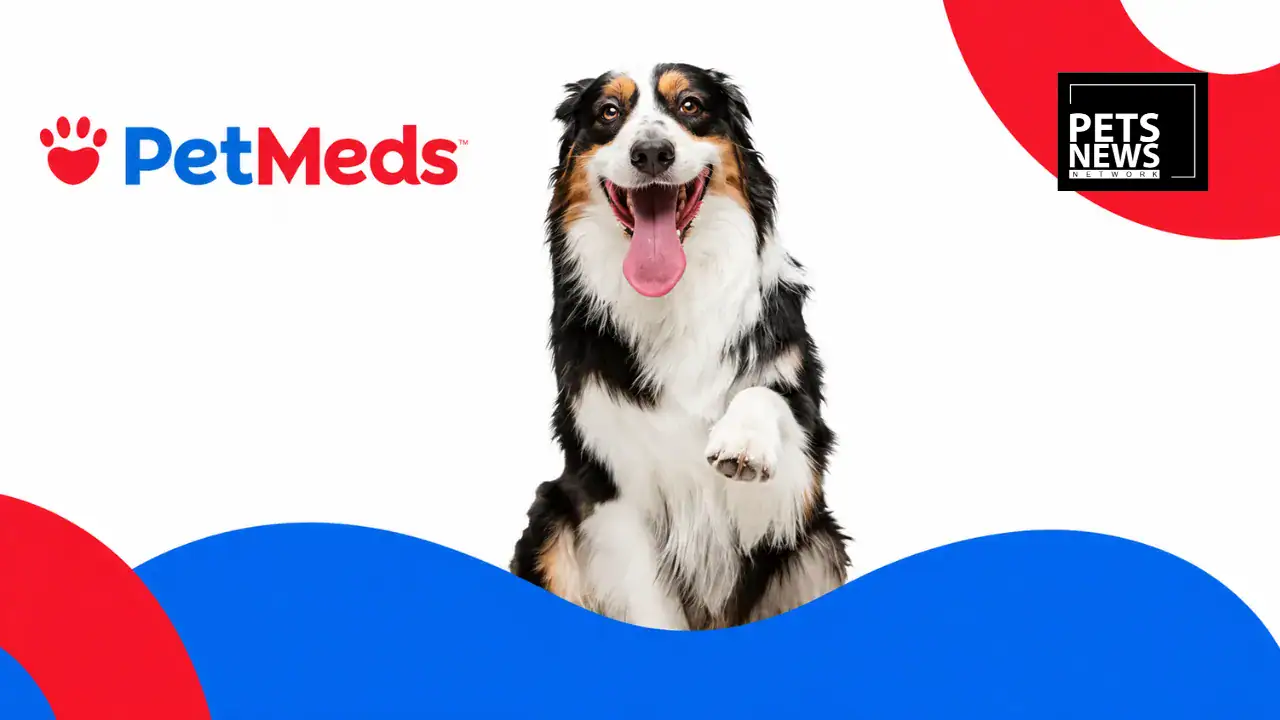 PetMed Express Sets August 13 Date for Its First Earnings Report Since Rejecting Two Buyout Offers