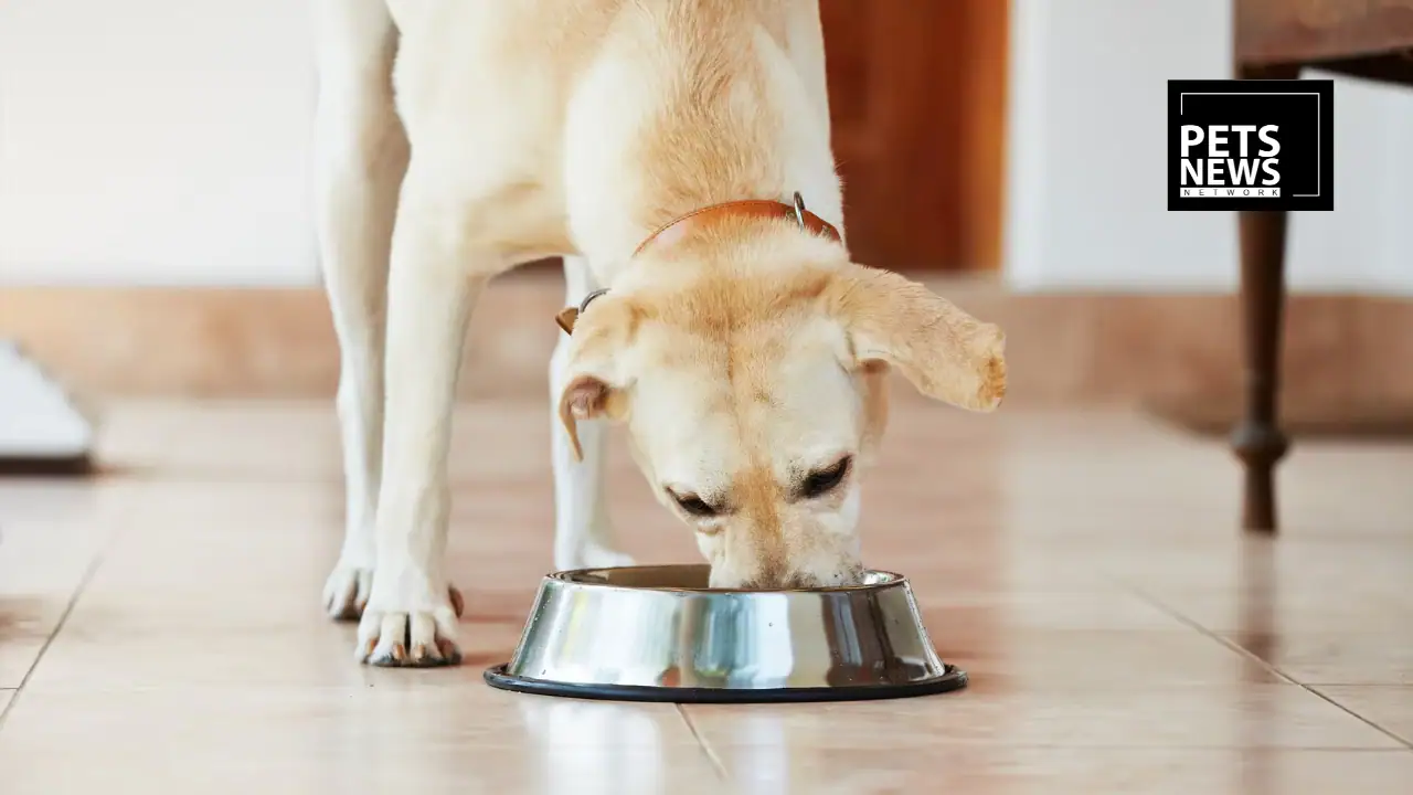 Assisi Pet Care Acquires Natural Pet Food Brand Forthglade